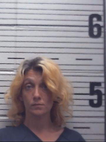 Dena Danielle Haney Smith mugshot