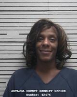 Mugshot of WILSON, CARLA MEGAN