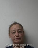 Mugshot of WILLIAMS, SUSAN LAVERNE