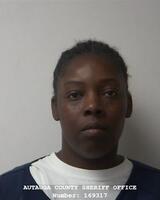 Mugshot of HOLLOWAY, VECORIA ANN