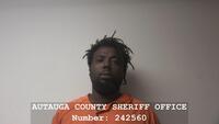 Mugshot of STOUDEMIRE, DAVID EARL