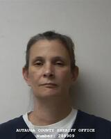 Mugshot of GREESON, HEIDI MICHELLE