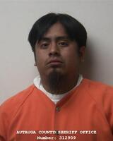 Mugshot of BARRERA, AMAYCO  